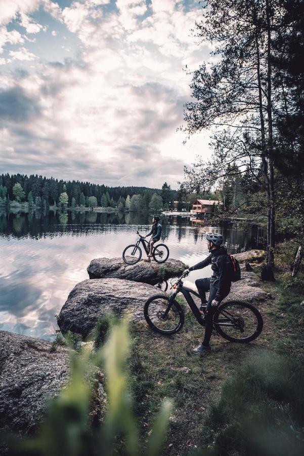 Chalet-Ferienwohnung Giebeltraum, 115 Qm, Wellness/Fitness/Sauna - Bergroedelhof Feilitzsch エクステリア 写真